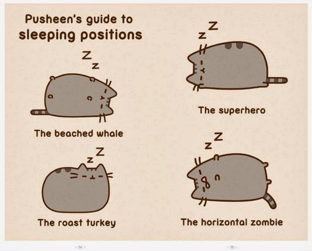 Pusheen-Sleeping-Positions.jpg