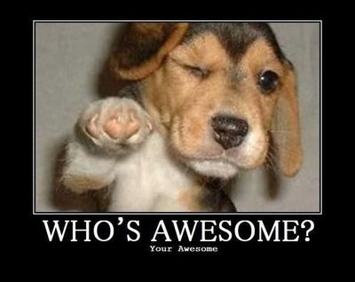 dog-awesome-680x540.jpg