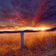 Outback sunset fence.jpeg
